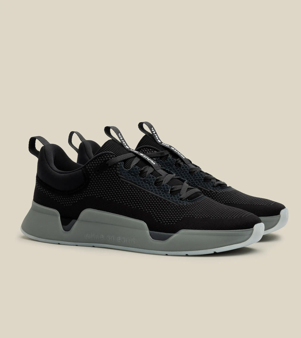 While on Earth Move Trainer